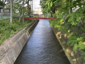 TikTokでの採用活動の流れと費用 動画制作企画~実際の応募につなげるまでの体制づくり