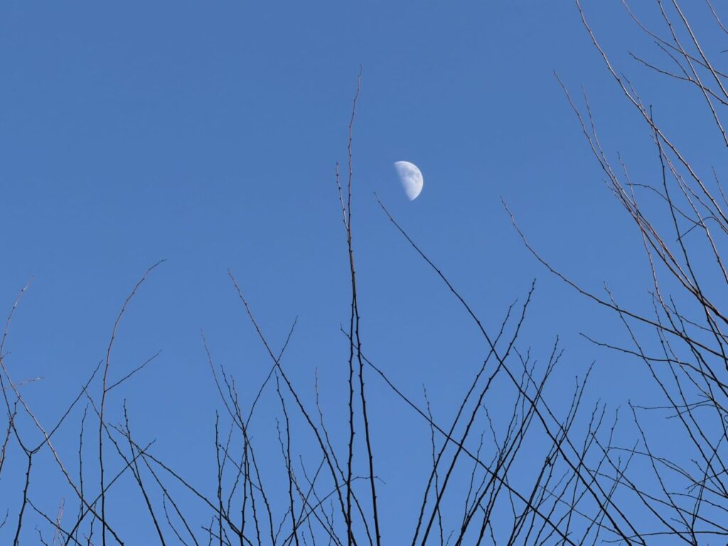 成果を出すためのショート動画制作のポイント 「フック」「ストーリー設計」「明確なゴール設定」