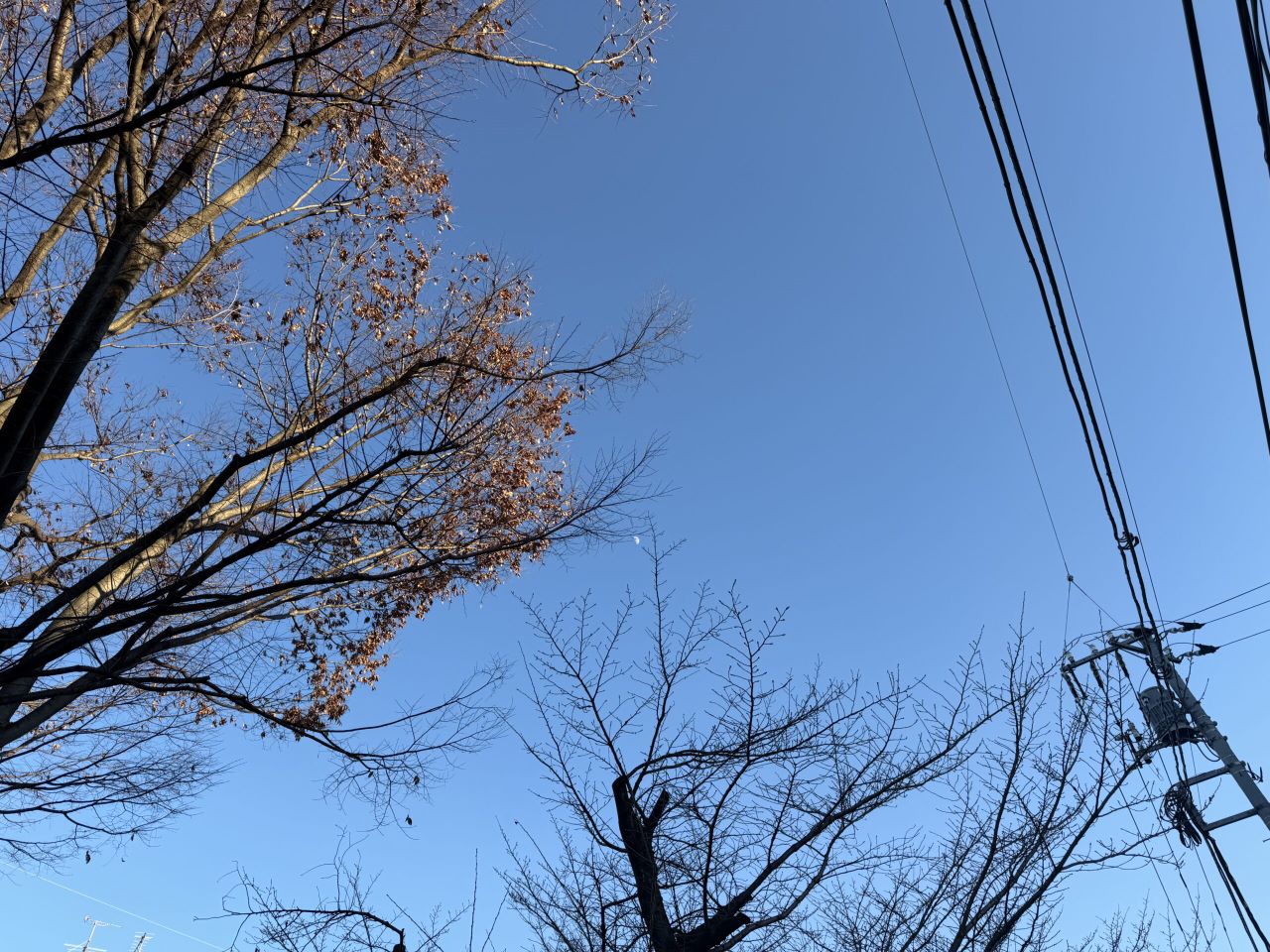 動画コンテンツの配置場所の設計